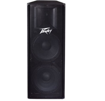 Peavey PV-215 Quasi 3-Way Speaker